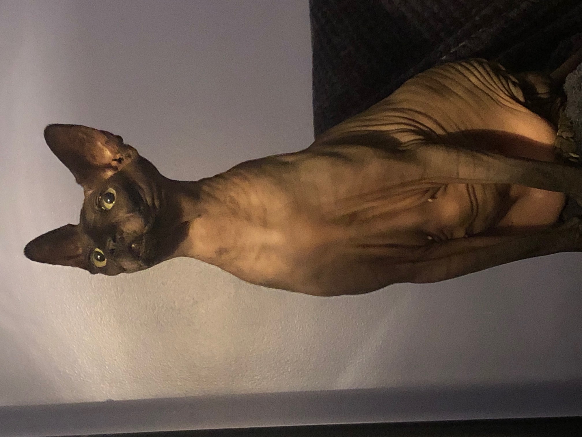 Mistique posing