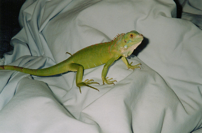 Sally on the bed