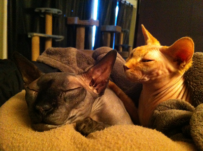 Steve with Lily