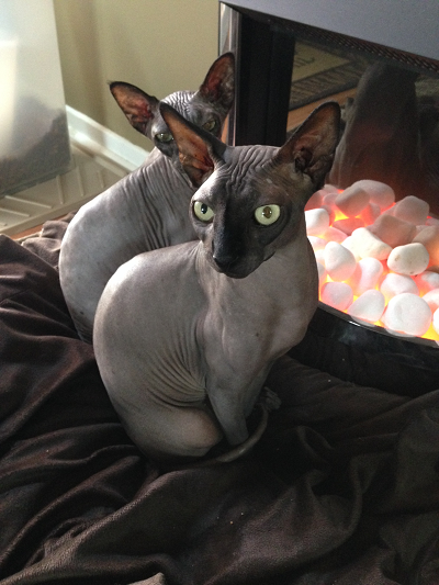 Steve by the fireplace