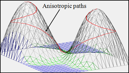 Anisotropic Shortest Paths