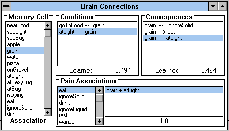 Brain browser from the motivation system