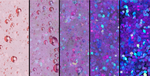 Vector texture synthesis