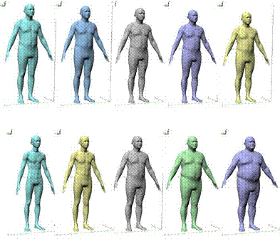 Human Body Shape Modeling and Analysis