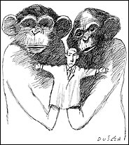 NYT, Dec 04, 2005, de Waal